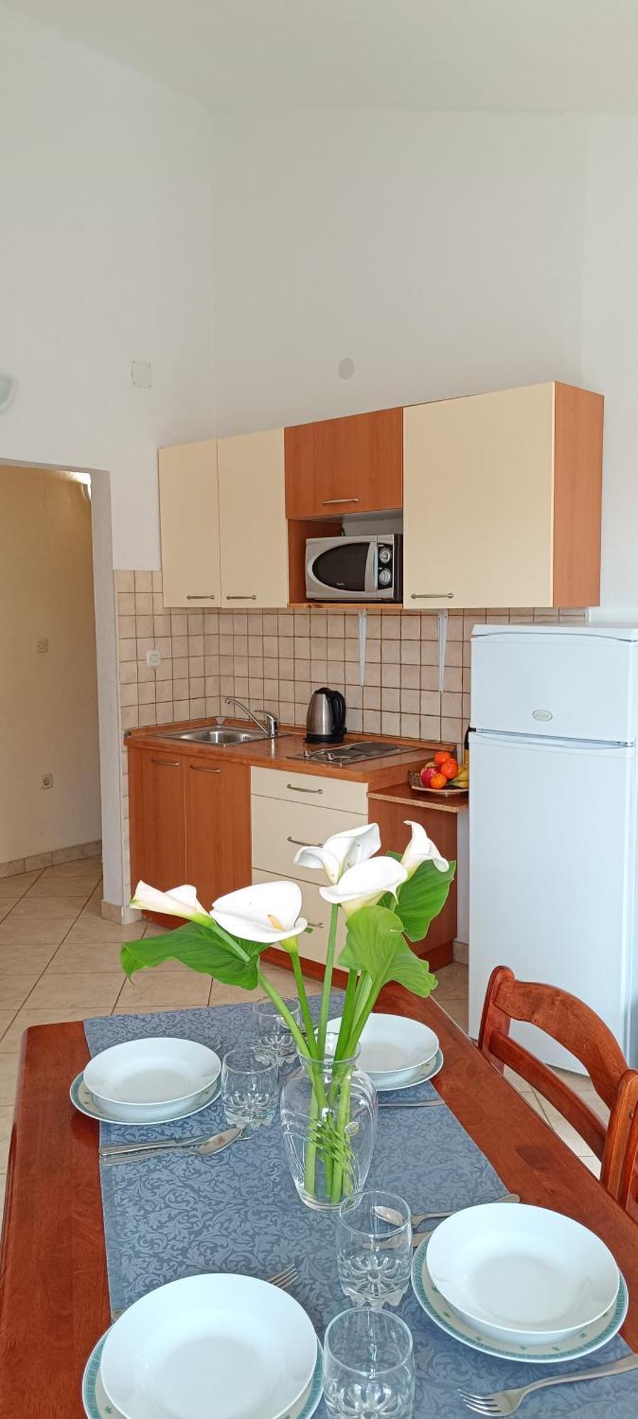 Apartments Roko Lalin Pakoštane エクステリア 写真