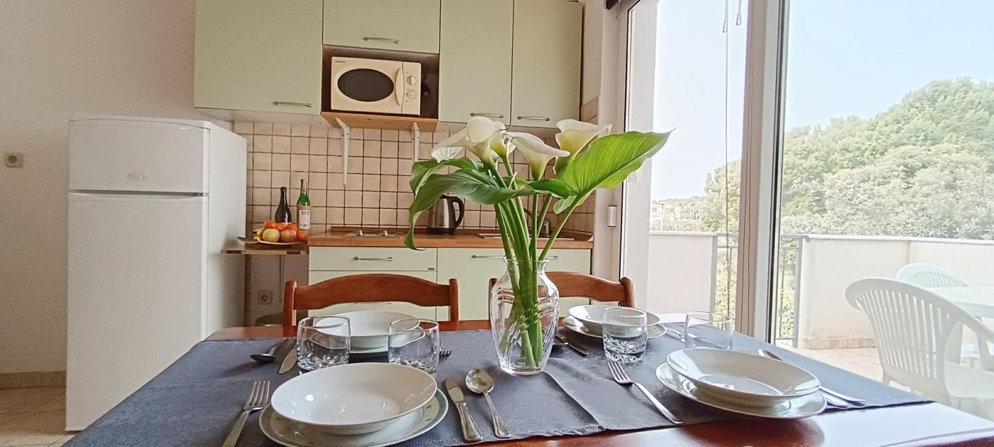 Apartments Roko Lalin Pakoštane エクステリア 写真